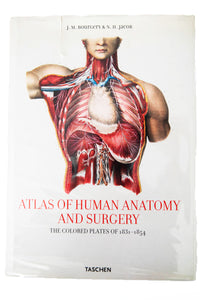 ATLAS OF THE HUMAN ANATOMY AND SURGERY | The Colorized Plates of